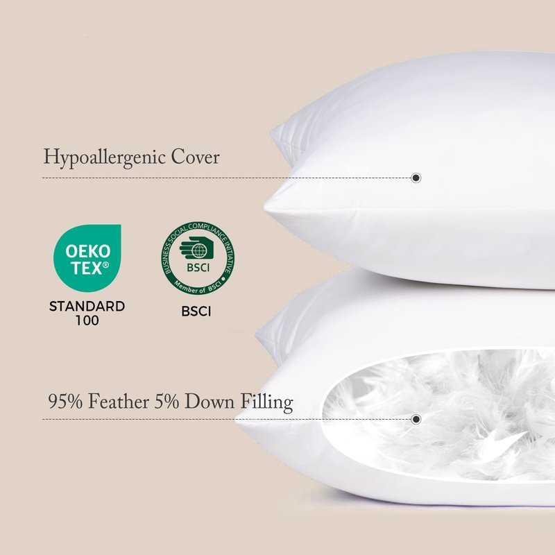 puredown® Natural Feather Down Throw Pillow Inserts 20 x 20 (Set of 2, White), Décor Pillow for Couch, Chairs, Office, Apartments
