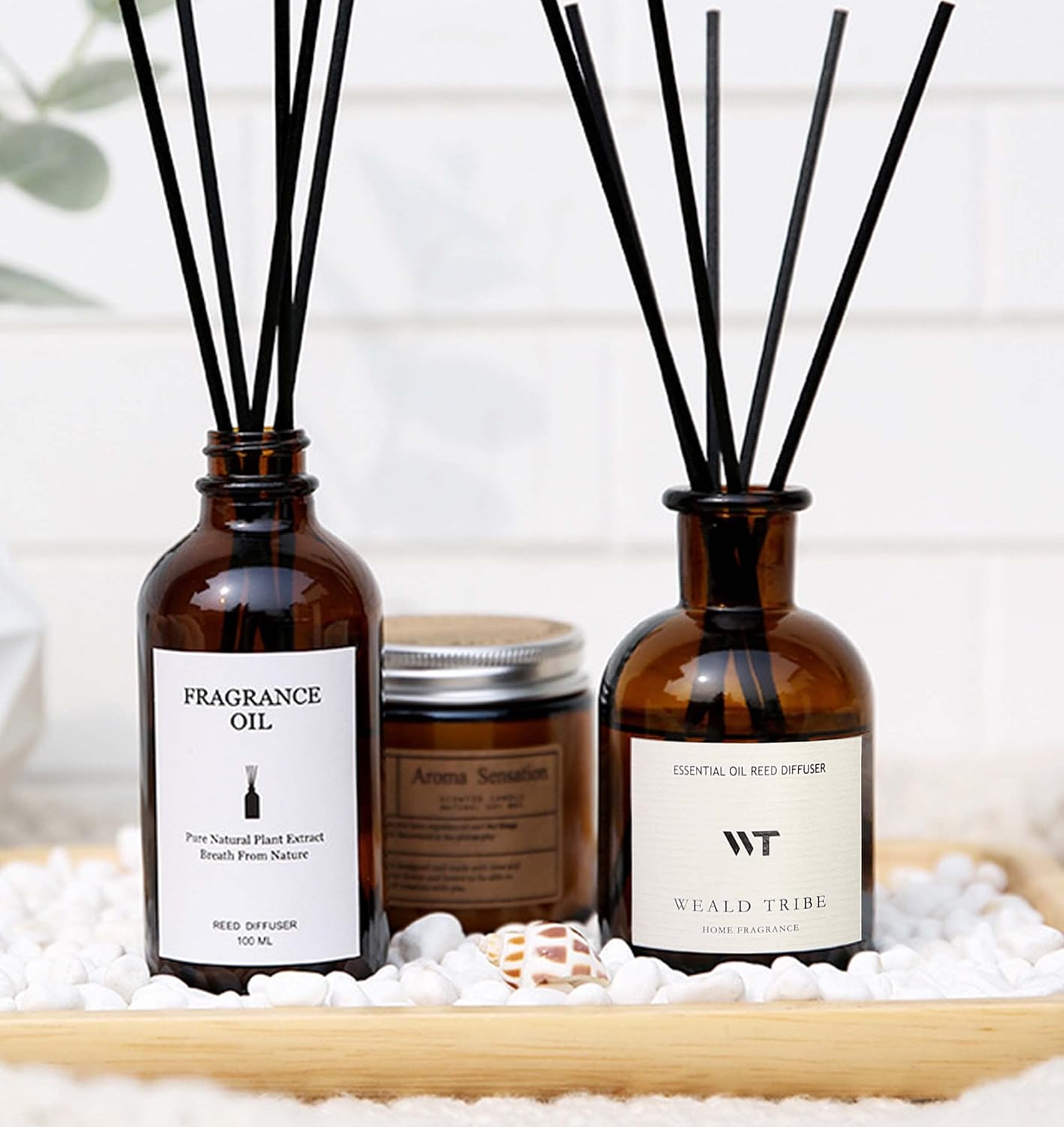 Weald Tribe Reed Diffuser Set - Eucalyptus & Mint Scent | 4.0 fl oz Home Fragrance with Sticks for Bathroom & Office Decor