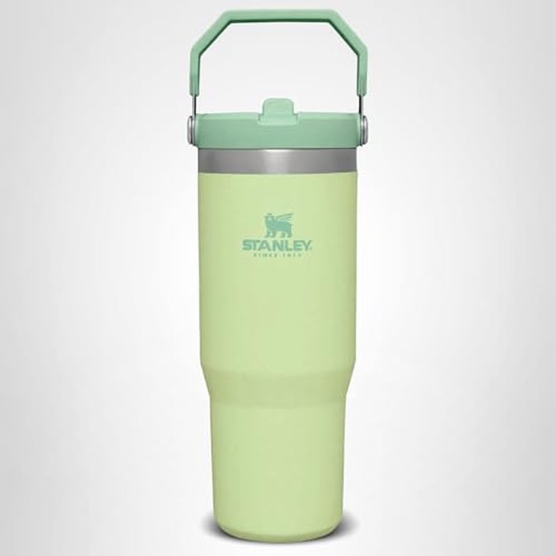 Stanley IceFlow Flip Straw Tumbler with Handle 30 oz | Twist On Lid and Flip Up Straw | Leak Resistant Water Bottle | Insulated Stainless Steel |BPA-Free | Citron