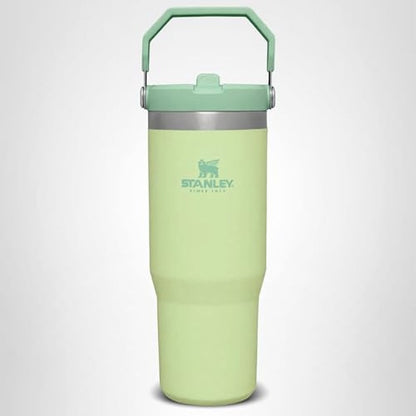 Stanley IceFlow Flip Straw Tumbler with Handle 30 oz | Twist On Lid and Flip Up Straw | Leak Resistant Water Bottle | Insulated Stainless Steel |BPA-Free | Citron