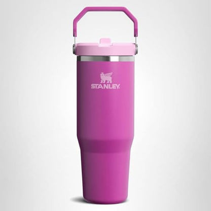STANLEY IceFlow 2.0 Flip Straw Tumbler with Handle 14 oz | Twist On Lid and Flip Up Straw | Leakproof Water Bottle | Insulated Stainless Steel | BPA-Free | Dark Blossom