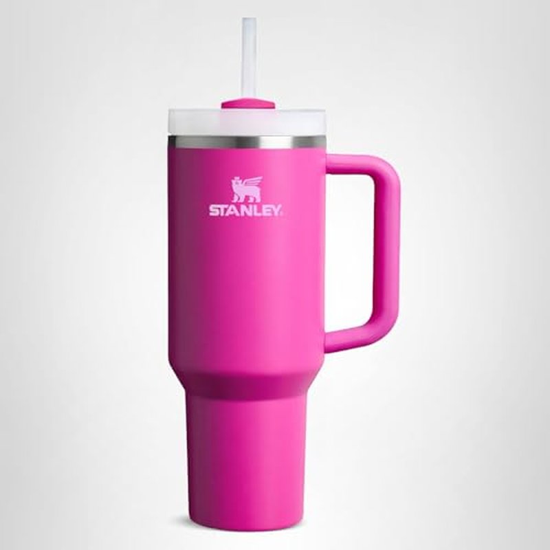 STANLEY Quencher H2.0 Tumbler with Handle and Straw 30 oz | Flowstate 3-Position Lid | Cup Holder Compatible for Travel | Insulated Stainless Steel Cup | BPA-Free | Violet Blossom