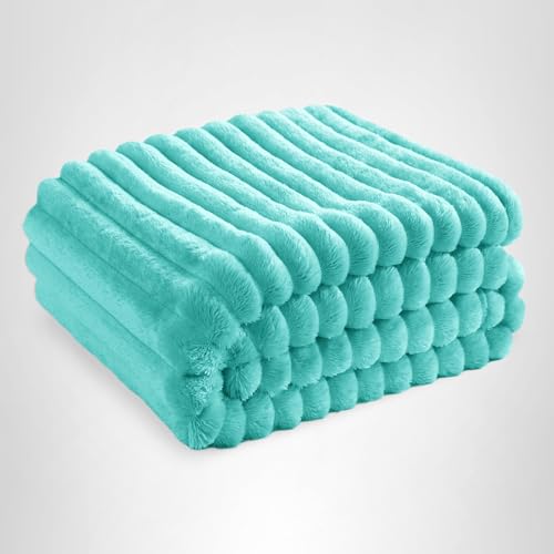 Bedsure GentleSoft Blue Throw Blanket for Couch - Cozy Soft Blankets for Women, Cute Small Fleece Throws for Girls, Birthday Gifts for Women Decor Gifts for Mom, Blue Fog, 50x70 Inches