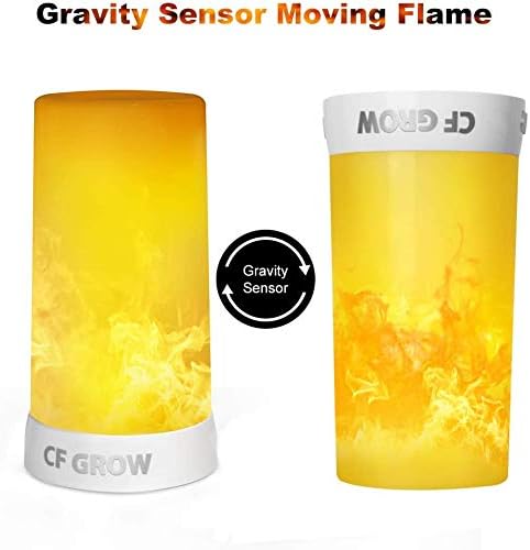 Skiennix LED Flame Effect Fireplace Light - Remote & Timer, USB Rechargeable Flameless Candle - 2 PCS