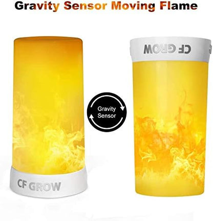 Skiennix LED Flame Effect Fireplace Light - Remote & Timer, USB Rechargeable Flameless Candle - 2 PCS