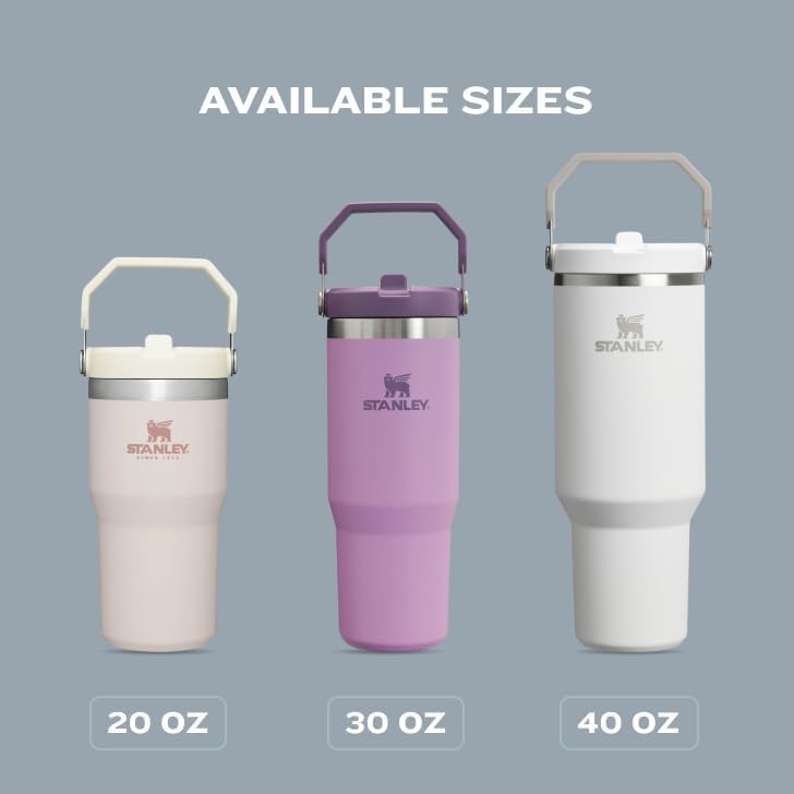 STANLEY IceFlow 2.0 Tumbler - 20 oz Insulated Water Bottle with Flip Straw & Handle | BPA-Free Twilight