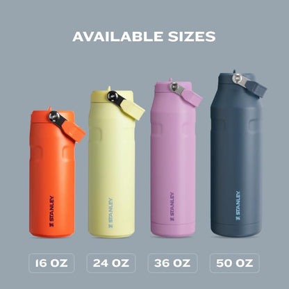 Stanley IceFlow 2.0 Water Bottle - 16 OZ Insulated Stainless Steel | Lightweight, Leak-Resistant, BPA-Free | Ash Color
