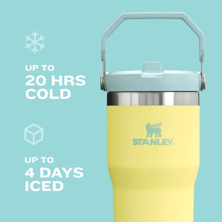 STANLEY IceFlow 2.0 Tumbler - 20 oz Insulated Water Bottle with Flip Straw & Handle | BPA-Free Twilight