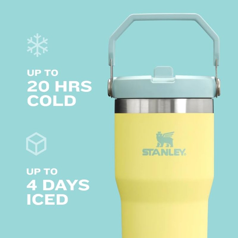 STANLEY IceFlow 2.0 Flip Straw Tumbler with Handle 30 oz | Twist On Lid and Flip Up Straw | Leak Resistant Water Bottle | Insulated Stainless Steel | BPA-Free | Hydrangea