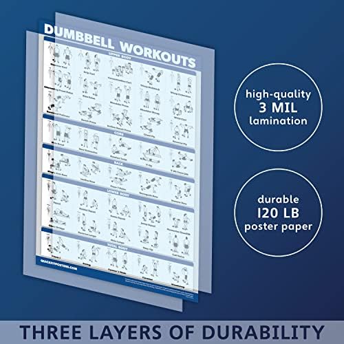 Skiennix Exercise Workout Poster Set - 10 Pack Laminated Fitness Charts | 18" x 24" Size