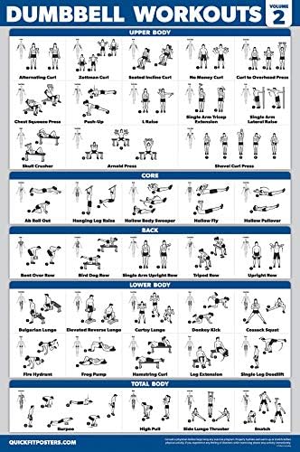 Palace Learning Dumbbell Workout Posters Set - Laminated Barbell Exercise Charts (18" x 24") - 4 Pack