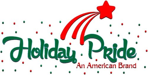 Holiday Pride White Christmas Tree Lights - 100 Clear White String Lights on White Wire - 24 Ft - Indoor/Outdoor Use