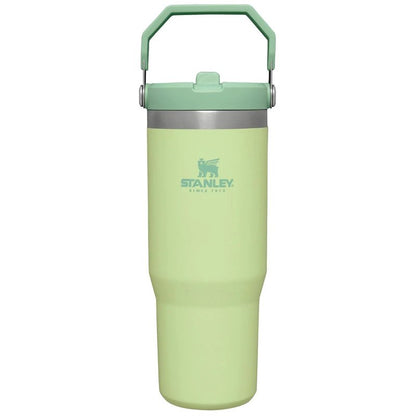 Stanley IceFlow Flip Straw Tumbler with Handle 30 oz | Twist On Lid and Flip Up Straw | Leak Resistant Water Bottle | Insulated Stainless Steel |BPA-Free | Citron