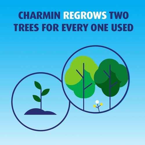 Charmin Essentials Strong Toilet Paper, 9 Mega Rolls = 36 Regular Rolls