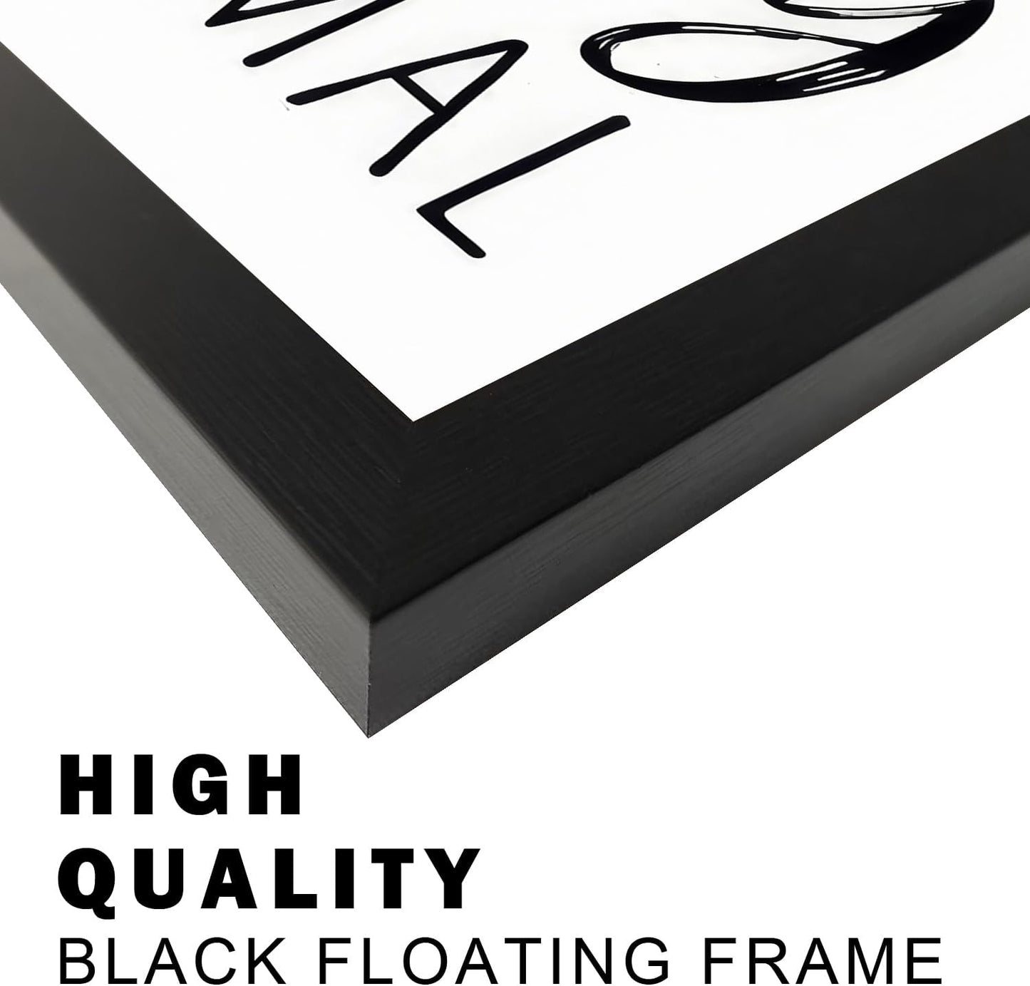 Regine Switzerland Bathroom Decor Wall Art - Black & White Framed Prints for Guest Toilets