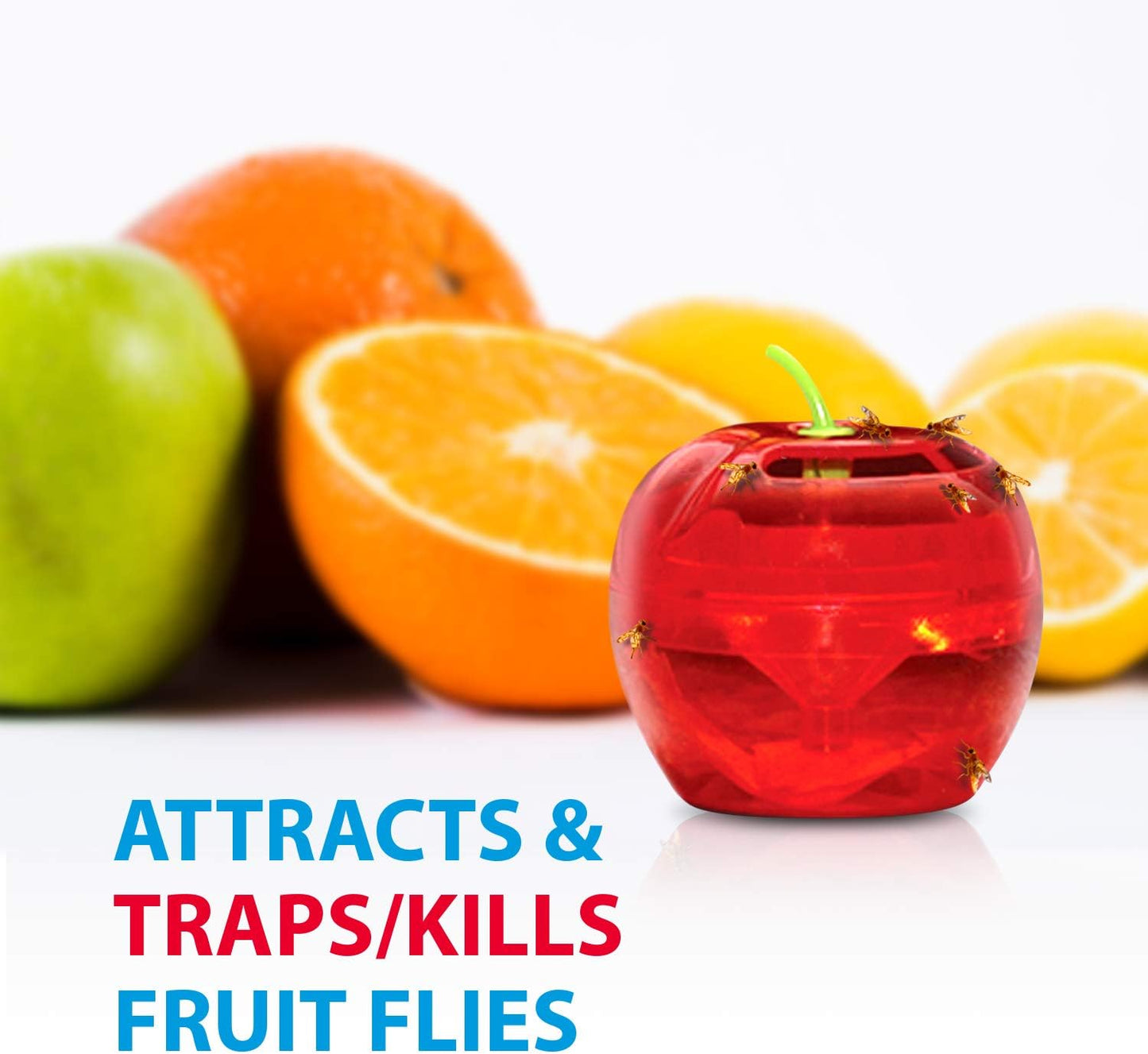 Raid Fruit Fly Traps - Effective Indoor Gnat Killer with 2 Lures & 2 Refills | Safe Food-Based Design
