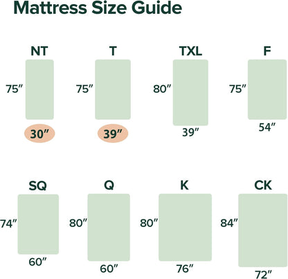 Zinus 6 Inch Hybrid Mattress - Medium Firmness, Durable Support, Twin Size, Certified Safe Foams
