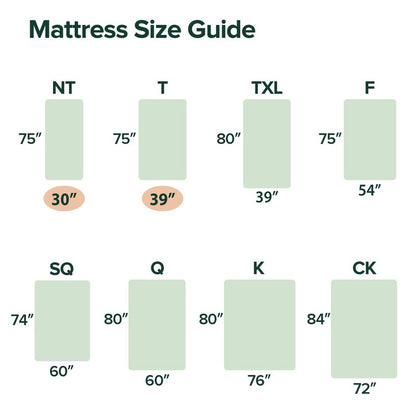Zinus 12 Inch Queen Cooling Essential Memory Foam Mattress [NewVersion], Fiberglass Free, Medium Feel, Breathable Cooling Layers, Certified Safe Materials
