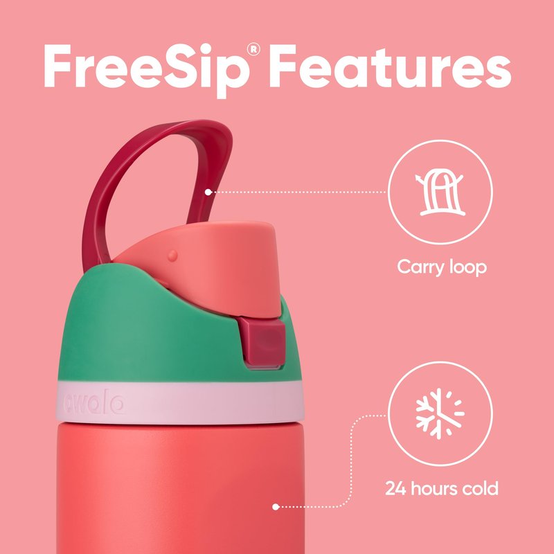 Owala FreeSip Insulated Stainless Steel Water Bottle with Straw for Sports, Travel, and School BPA-Free Sports Water Bottle, 24 oz, Strawberry Fields