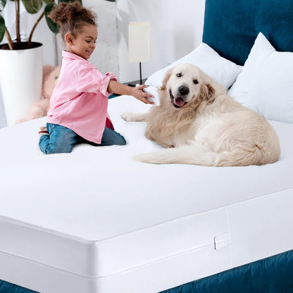 Utopia Bedding Mattress Protector - 100% Waterproof Queen Size Encasement | Pack of 2, Bed Bug & Dust Mite Proof