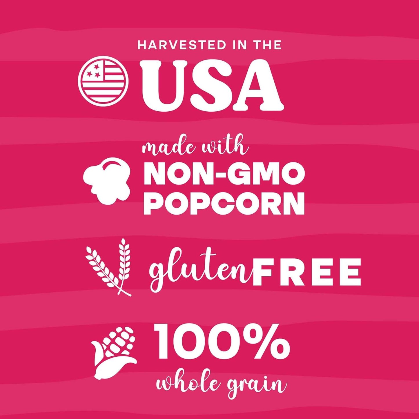 Pop n' Dulge Gourmet Popcorn Gift Set - 16 Pcs with 5 Non-GMO Kernels & Seasoning Packs | Perfect for Movie Nights & Housewarming Gifts