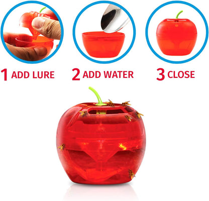 Raid Fruit Fly Traps - Effective Indoor Gnat Killer with 2 Lures & 2 Refills | Safe Food-Based Design