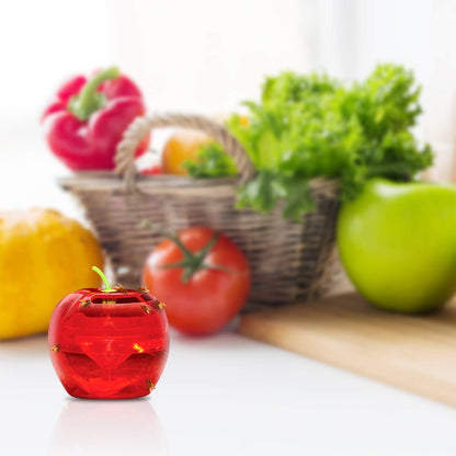 Raid Fruit Fly Traps - Effective Indoor Gnat Killer with 2 Lures & 2 Refills | Safe Food-Based Design