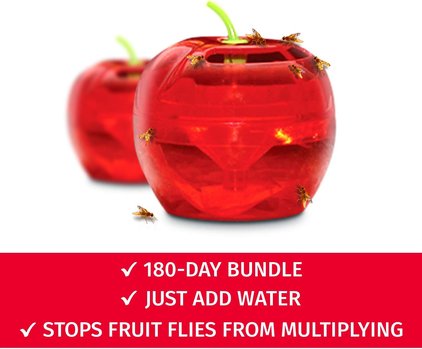 Raid Fruit Fly Traps - Effective Indoor Gnat Killer with 2 Lures & 2 Refills | Safe Food-Based Design