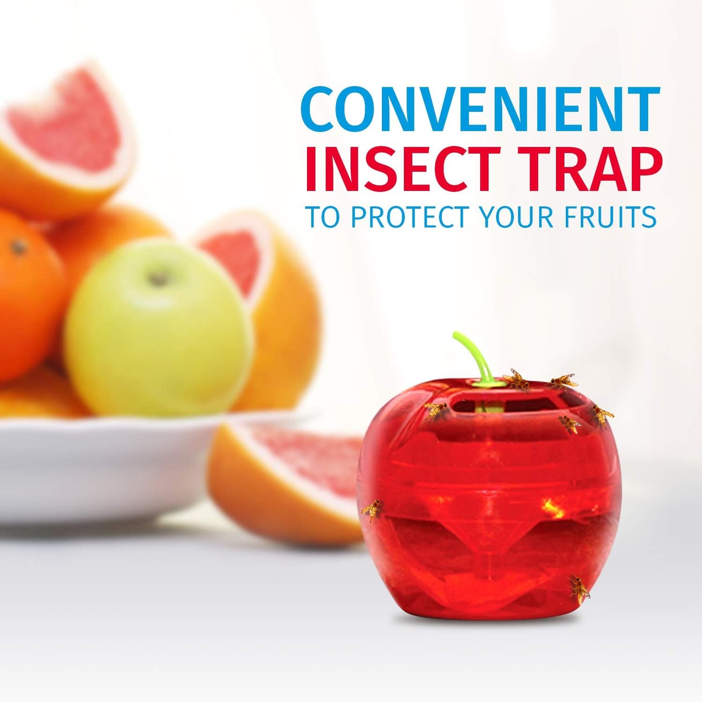 Raid Fruit Fly Traps - Effective Indoor Gnat Killer with 2 Lures & 2 Refills | Safe Food-Based Design