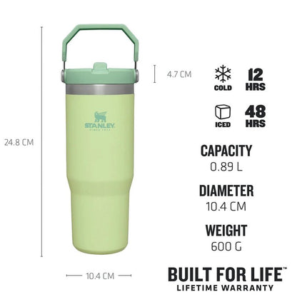 Stanley IceFlow Flip Straw Tumbler with Handle 30 oz | Twist On Lid and Flip Up Straw | Leak Resistant Water Bottle | Insulated Stainless Steel |BPA-Free | Citron