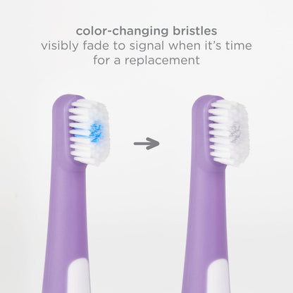 Ubbi Grow with Me Toothbrush Training Set for Babies and Toddlers, Includes Silicone Finger Brush, 360° and Soft Bristled Toothbrush, Smoothie Purple