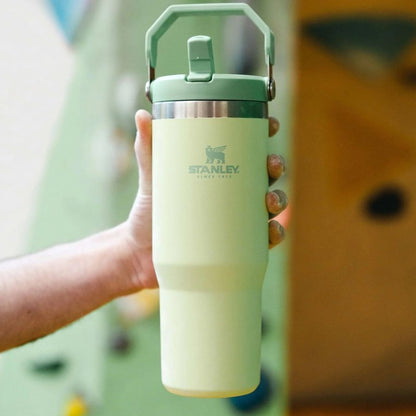 Stanley IceFlow Flip Straw Tumbler with Handle 30 oz | Twist On Lid and Flip Up Straw | Leak Resistant Water Bottle | Insulated Stainless Steel |BPA-Free | Citron