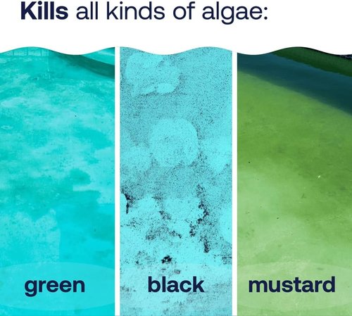 HTH 67244 Algae Guard Ultra - Fast-Acting Formula Eliminates Green, Black & Mustard Algae | 32oz