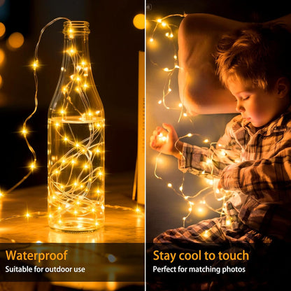 Skiennix 10 Ft 30 LED Fairy Lights - Waterproof Silver Wire Mini String Lights for DIY Crafts & Events | Warm White