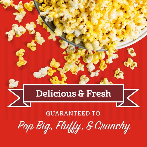 Franklin’s Gourmet Popcorn | All-In-One Popcorn Packs for Machines - 8oz Pack of 10 - Buttery Salt & Oil