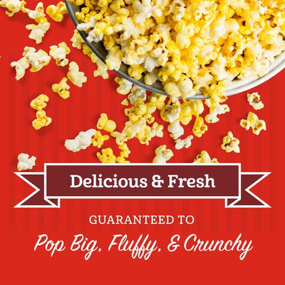 Franklin’s Gourmet Popcorn | All-In-One Popcorn Packs for Machines - 8oz Pack of 10 - Buttery Salt & Oil