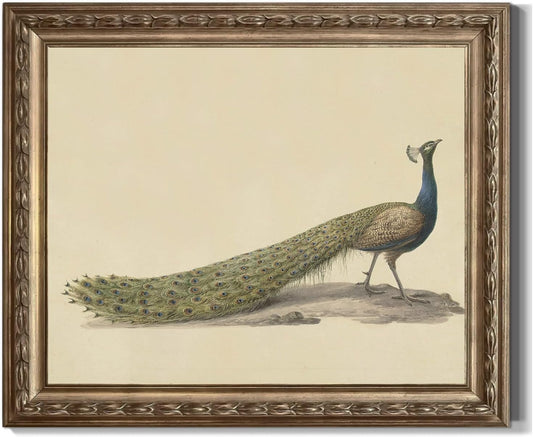 Skiennix Vintage Green Peacock Canvas Print - Elegant Rustic Animal Artwork for Home Decor | 8x10 Inch