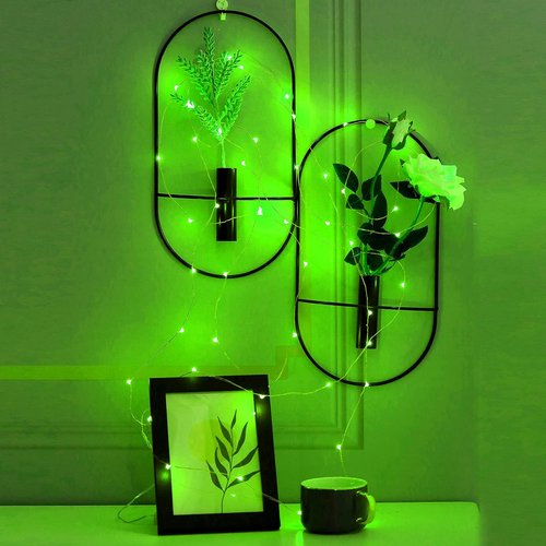 Ariceleo Mini Fairy Lights - Battery Operated Copper Wire String Lights | 2 Pack, 16ft Green for St. Patrick's Day & Decor