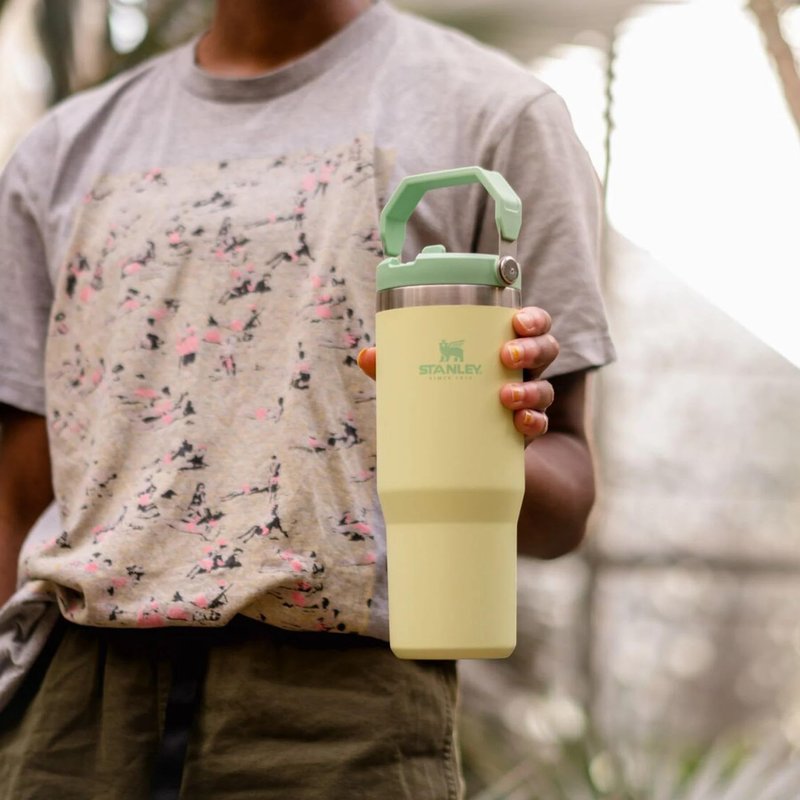 Stanley IceFlow Flip Straw Tumbler with Handle 30 oz | Twist On Lid and Flip Up Straw | Leak Resistant Water Bottle | Insulated Stainless Steel |BPA-Free | Citron