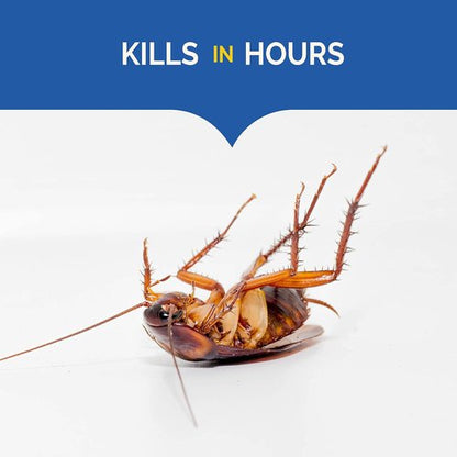 Hot Shot Ultra Liquid Roach Bait - Kills Roaches in Hours | 6 Count Pack
