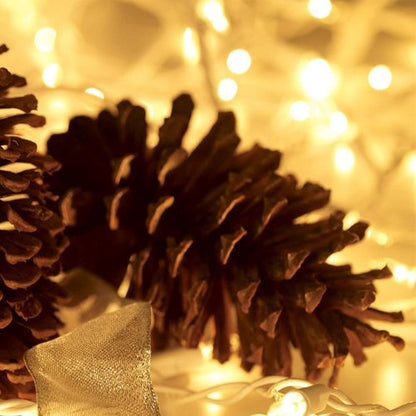 HISHINY Christmas Lights - 100 Count Mini Clear String Lights | 21ft White Wire for Indoor/Outdoor Decor