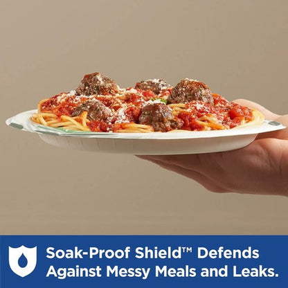 Dixie 8.5 Inch Medium-Weight Paper Plates - Pathways Design, 500 Count | Durable & Disposable