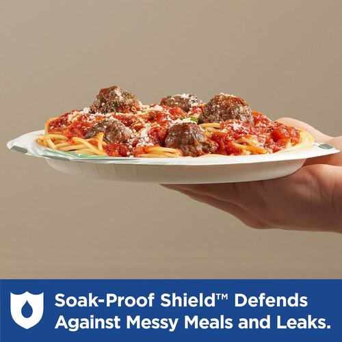 Dixie 8.5-Inch Medium-Weight Disposable Paper Plates - Pathways Design | 300 Count Bulk Case