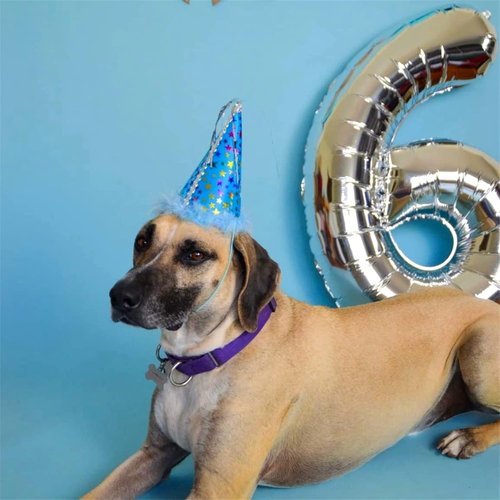 40" Silver Number 6 Balloon by Helium Foil - Large Self-Inflating Birthday Party Decoration for All Ages