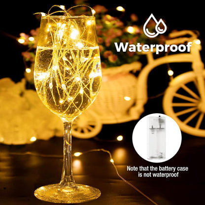 Btfarm Fairy Lights - 30 Pack Battery Operated Twinkle Lights with Timer | 10FT Length, 30 LEDs
