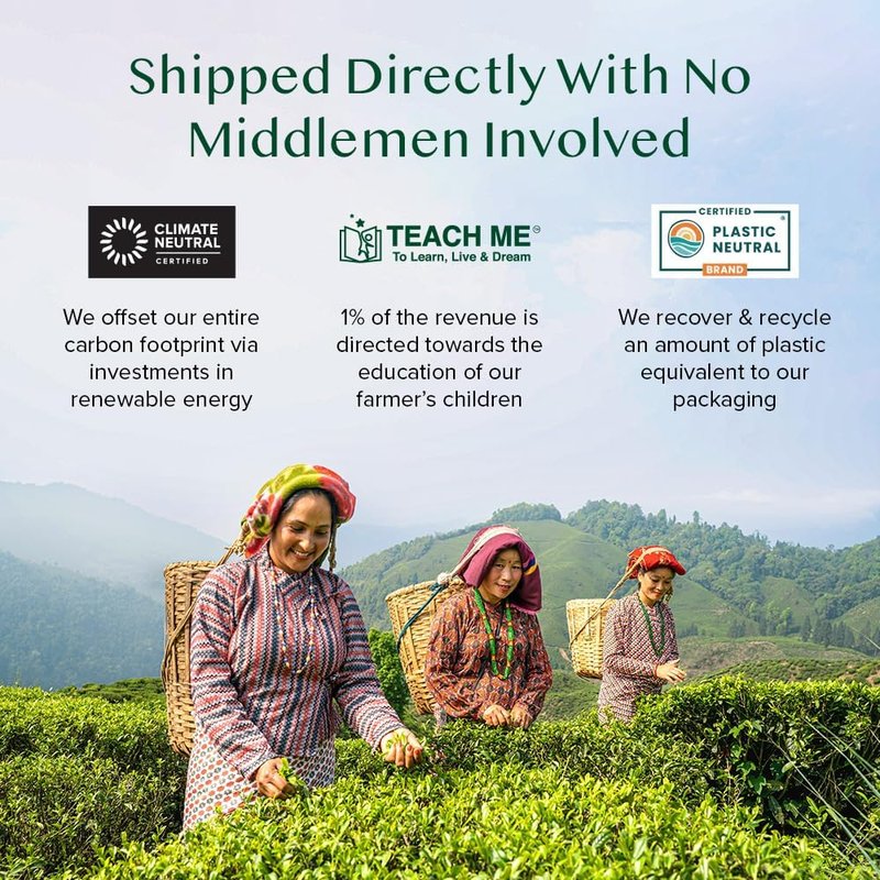 VAHDAM, Mint Green Tea Bags (30 Count) 100% Pure Leaf Tea, High Grown, Low Caffeine, Non GMO, Gluten Free | Individually Wrapped Plant-Based Pyramid Tea Bags | Direct from Source
