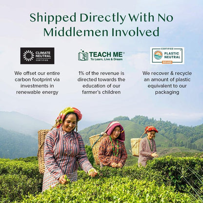 VAHDAM, Mint Green Tea Bags (30 Count) 100% Pure Leaf Tea, High Grown, Low Caffeine, Non GMO, Gluten Free | Individually Wrapped Plant-Based Pyramid Tea Bags | Direct from Source