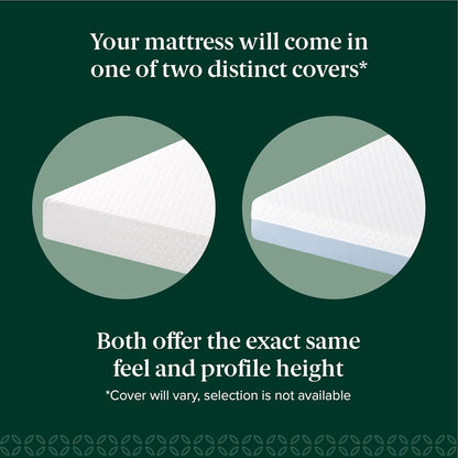 Zinus 6 Inch Full Memory Foam Mattress - Cooling, Fiberglass-Free, Medium Feel, Safe Materials