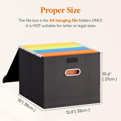 Lifewit File Organizer Box - Portable A4 Document Storage with Plastic Slide | Dark Gray, 2 Pack