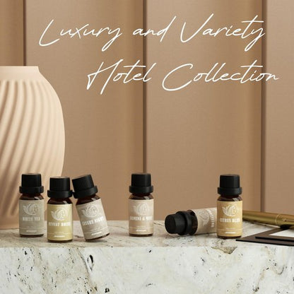 ARVIDSSON Hotel Diffuser Oils Gift Set, Hotel Scent Essential Oils for Diffuser, Luxury Fragrance Oil Blend - Jasmine & Mint, White Tea, Citrus Bliss, M-Way, Fancy Lobby, Gift for Women and Men